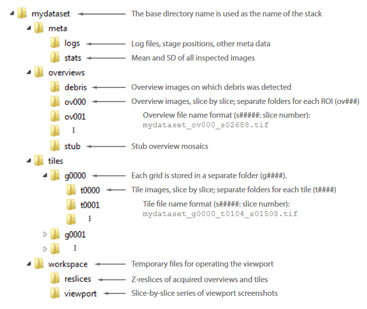 Folder structure of a base directory